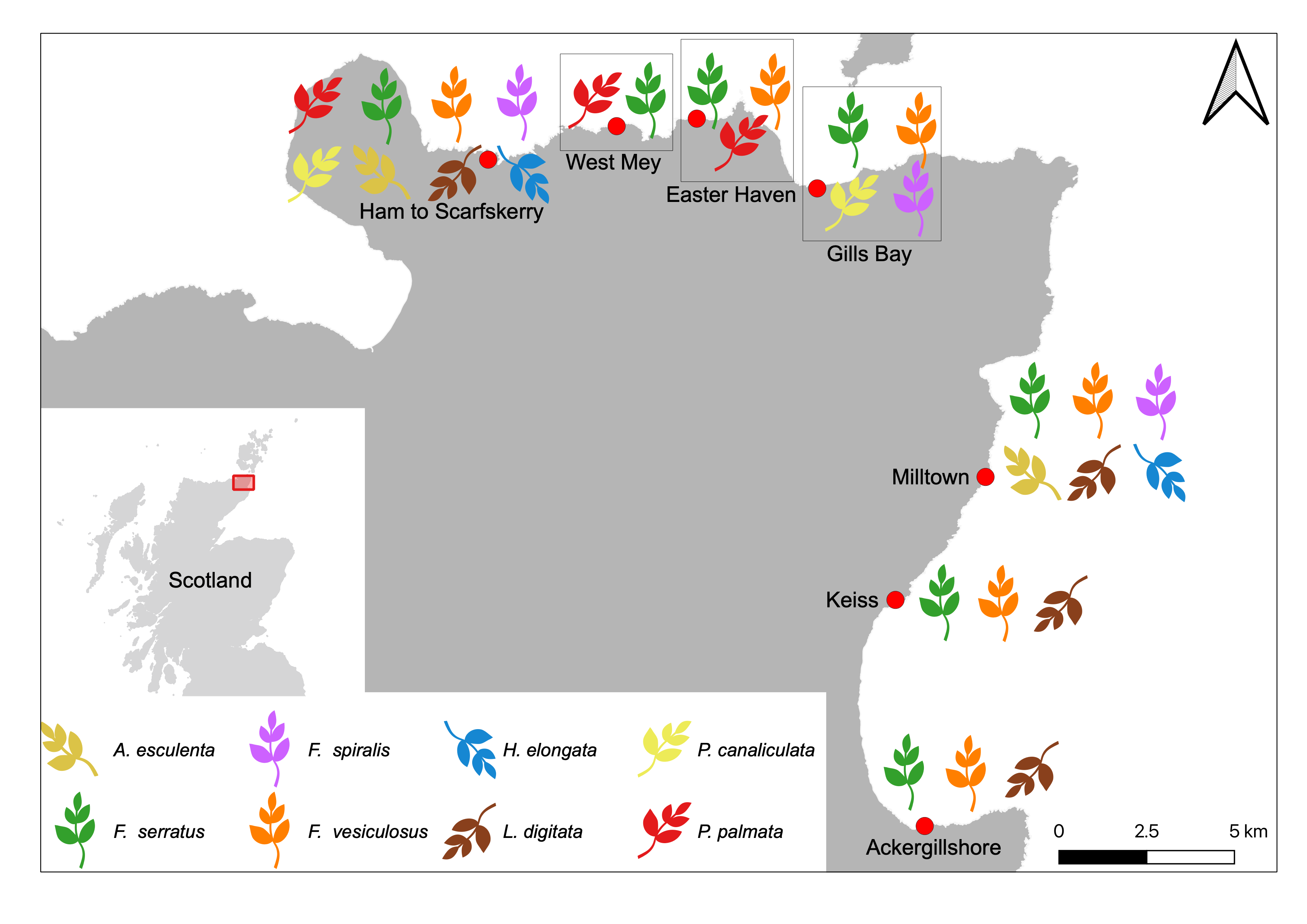 Kaart van noord Schotland gebruikt om de verspreiding van zeewiersoorten in beeld te krijgen voor een academische publicatie.